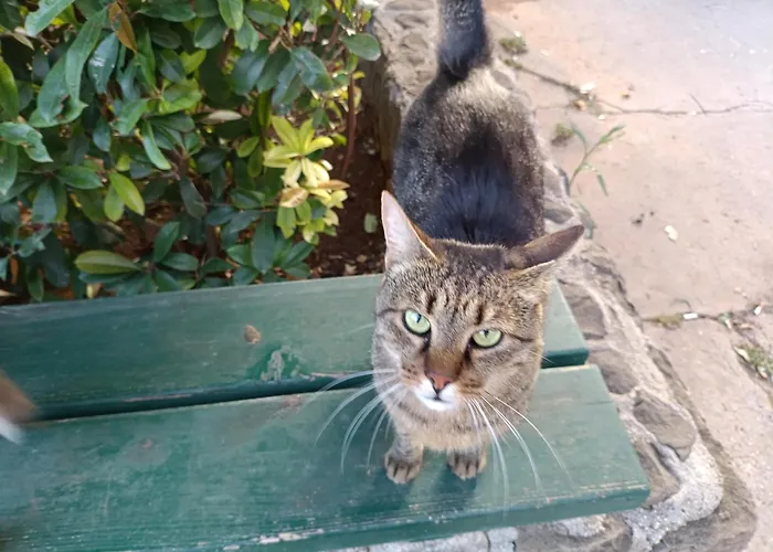 شقة Antonio سبليت