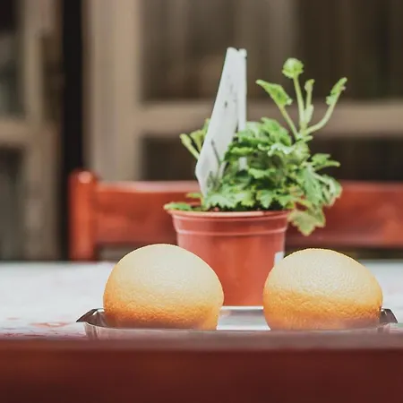 아파트 Antonio 스플리트