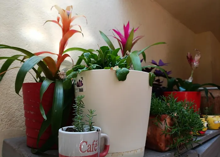 Apartament Antonio *