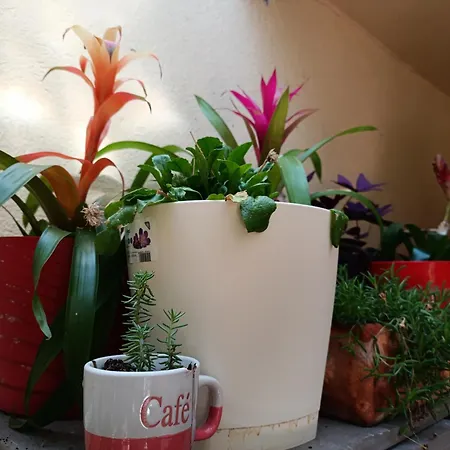 Διαμέρισμα Antonio *