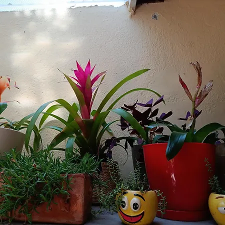 Apartment Studio Antonio Split