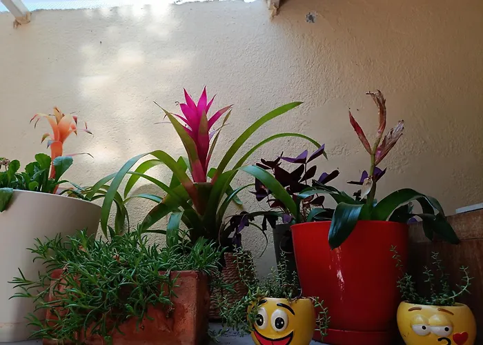 Appartement Antonio Split